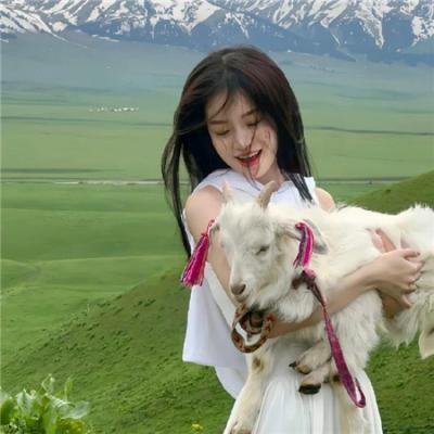 天宝伏妖录第二季
